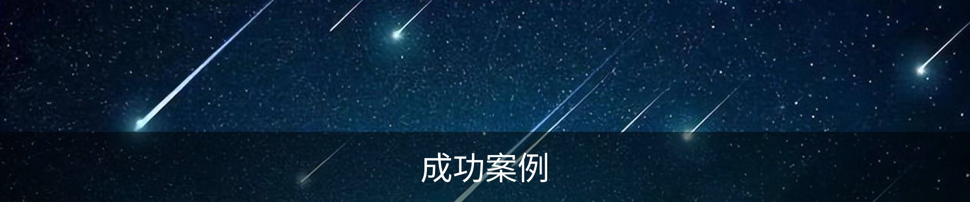 成功案例